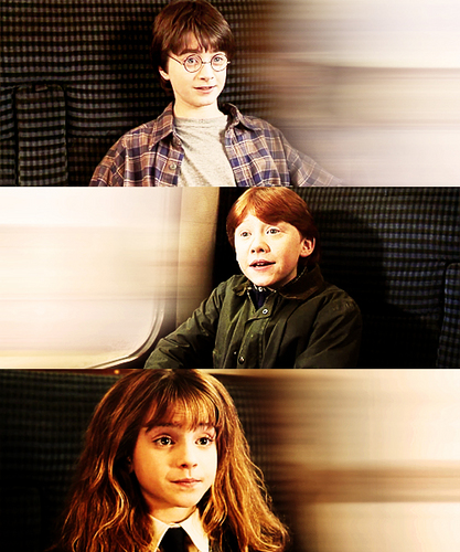  Ron, Harry and Hermione ♥