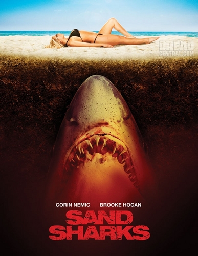  Sand Sharks Poster