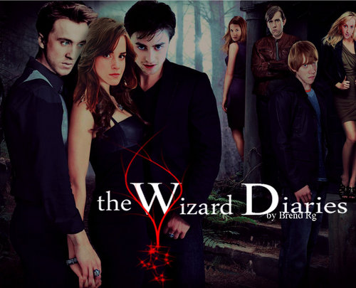  The Wizard Diaries
