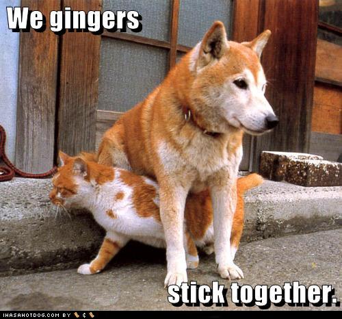  We Gingers Stick Together