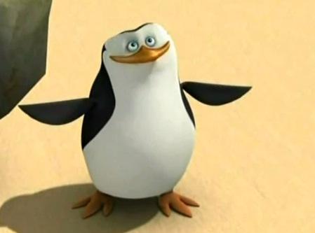  everybody loves a pinguin, penguin right, do anda agree?