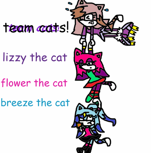  team kucing