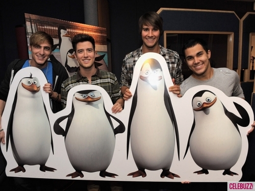  Big Time Rush lend Their Voices In The Penguins Of Madagascar