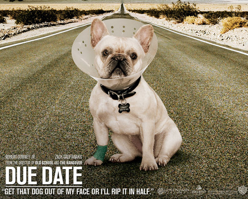  Due Date!