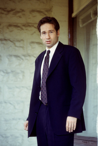  renard Mulder