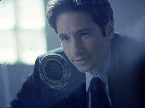  狐狸 Mulder