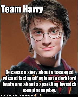 Harry Potter pwns