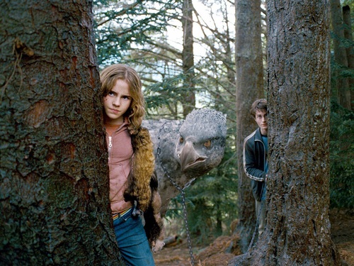  Harry and Hermione Hintergrund