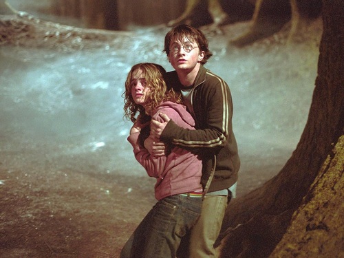  Harry and Hermione Hintergrund