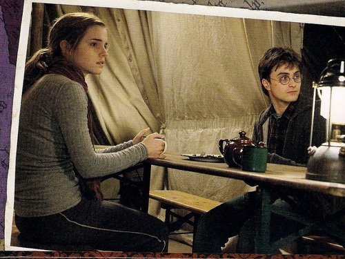 Harry and Hermione দেওয়ালপত্র