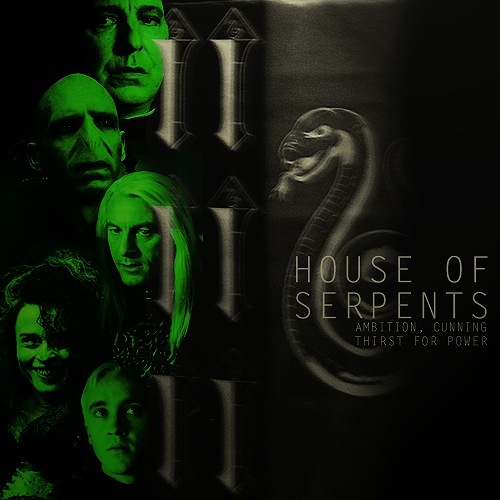 Slytherin House of Serpents