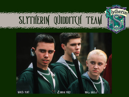  Slytherin Quidditch
