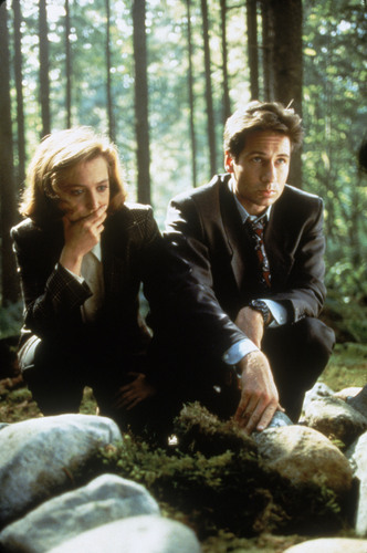  The X-Files