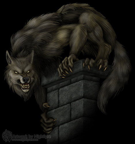  werewolves