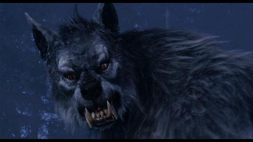  werewolves