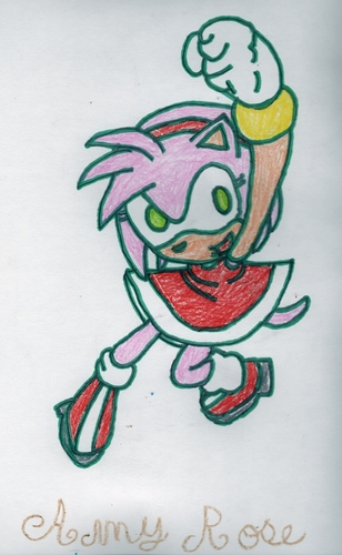  Amy Rose the cat