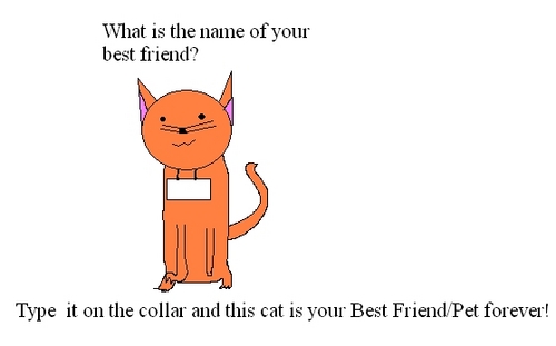  Cat Friendship Collar- Fun Gift