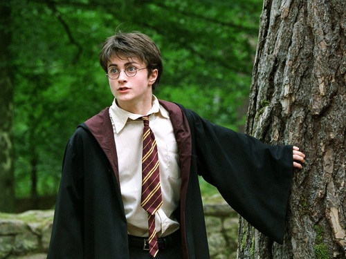 Harry Potter fondo de pantalla