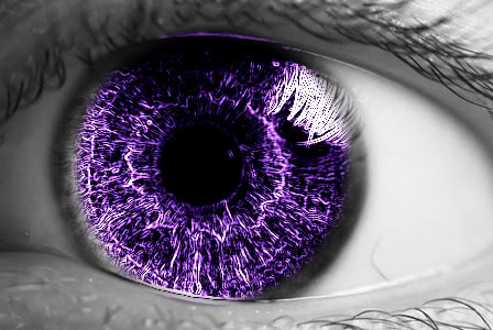  Purple Eye