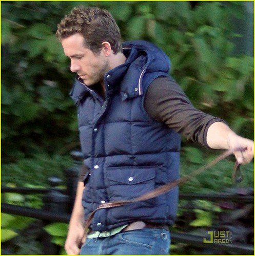  Ryan Reynolds: Evening Walk with Baxter!