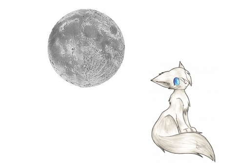  Silver Moon