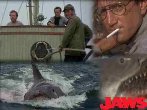  jaws