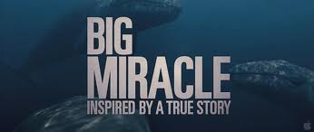  Big miracle