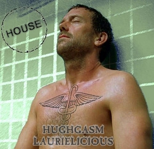  Hugh Laurie (house)