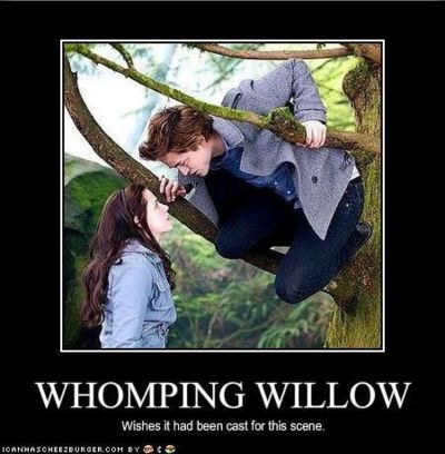  If they had cast the whomping willow