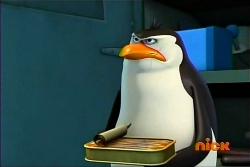 Rico the (Mad) pinguin, penguin :)