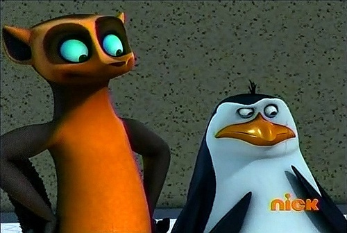  Rico the (Mad) pinguino :)