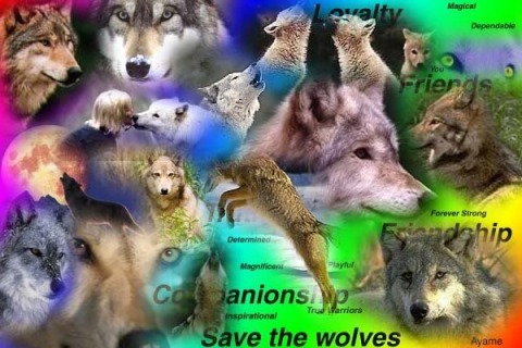  Save the Wolves