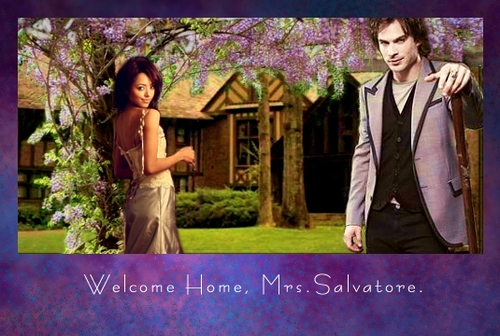  Welcome 首页 Mrs.Bonnie Salvatore