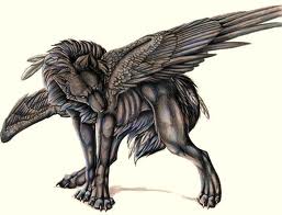  Winged wolves