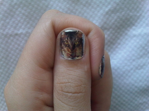 katys pusst cat inspire her nails