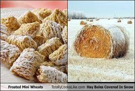  mini wheats