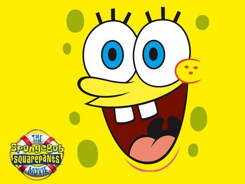  sponge!!!