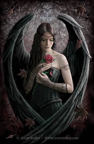  Angel – Jäger der Finsternis Rose
