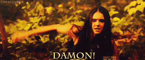 Damon na Elena