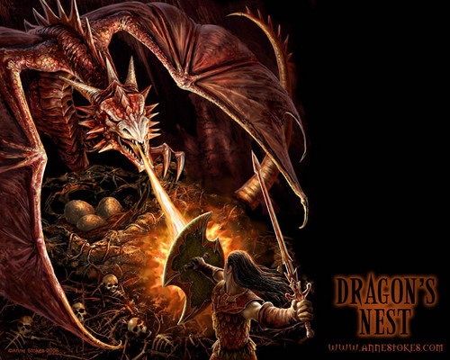  Dragon's Nest