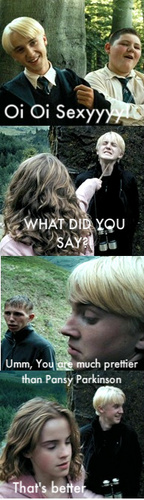  Funny Malfoy and Hermione