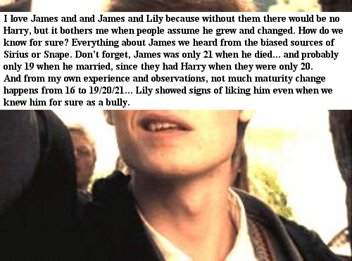  Harry Potter confession James Potter
