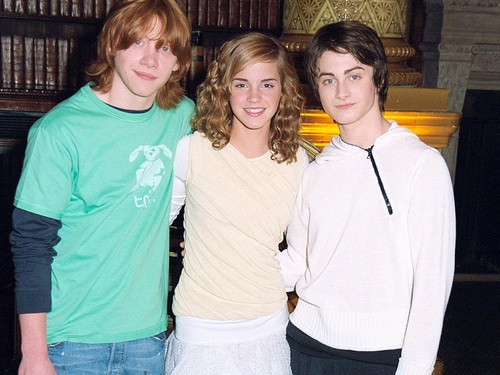  Harry, Ron and Hermione 壁紙