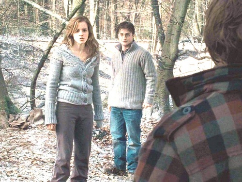  Harry, Ron and Hermione wolpeyper