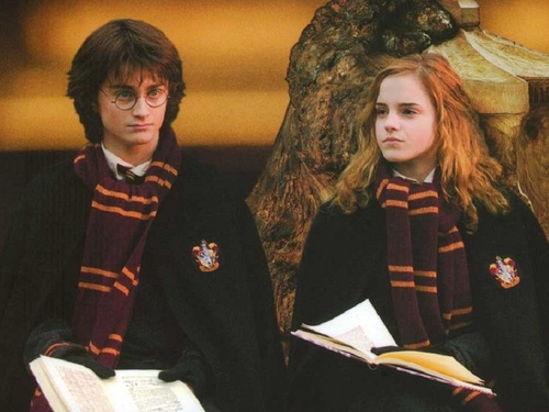  Harry and Hermione achtergrond