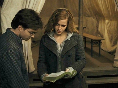  Harry and Hermione 壁纸