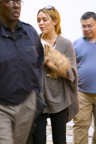  Miley Cyrus ~ 27. September - Arriving at Nashville's Airport