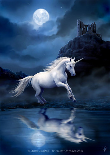  Moonlight Unicorn