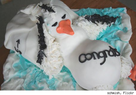 Pregnant Bird Cake