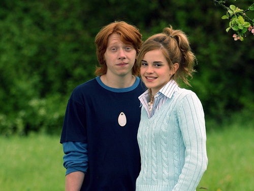 Ron and Hermione hình nền